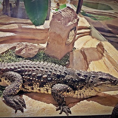 Aquarium Hotel Riyadh Luaran gambar
