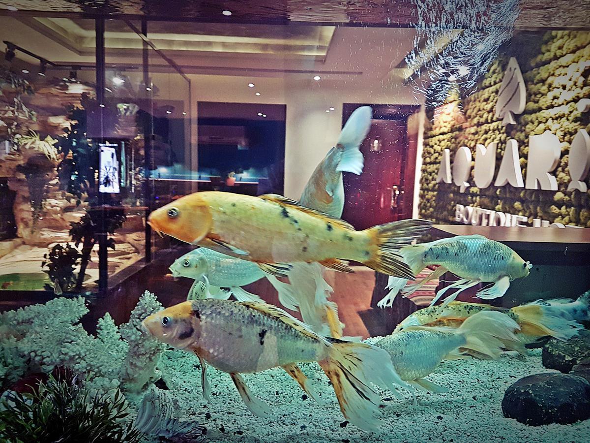 Aquarium Hotel Riyadh Luaran gambar
