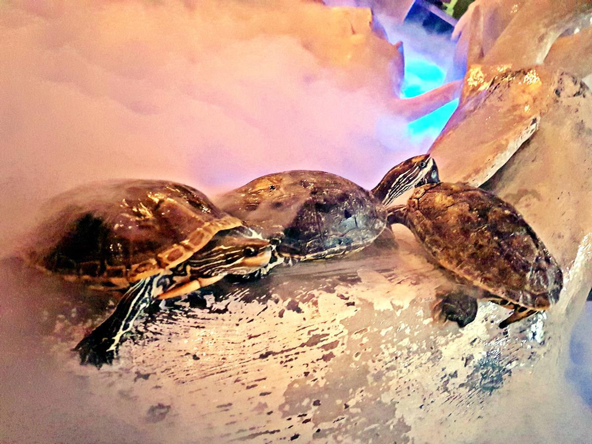 Aquarium Hotel Riyadh Luaran gambar