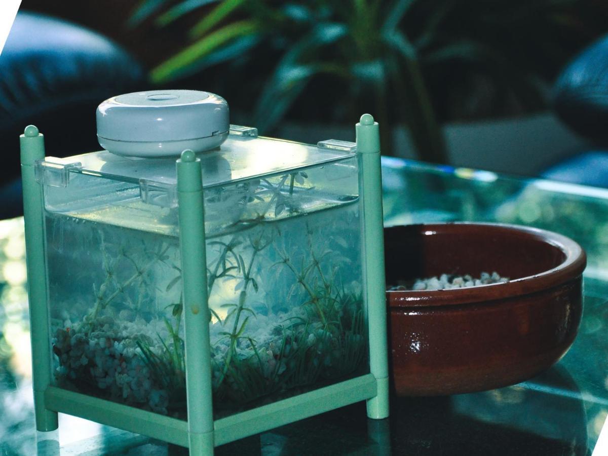 Aquarium Hotel Riyadh Luaran gambar